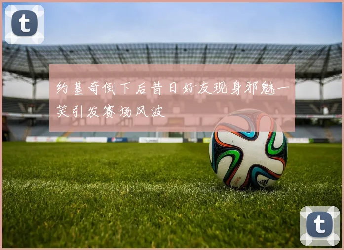 约基奇倒下后昔日好友现身邪魅一笑引发赛场风波